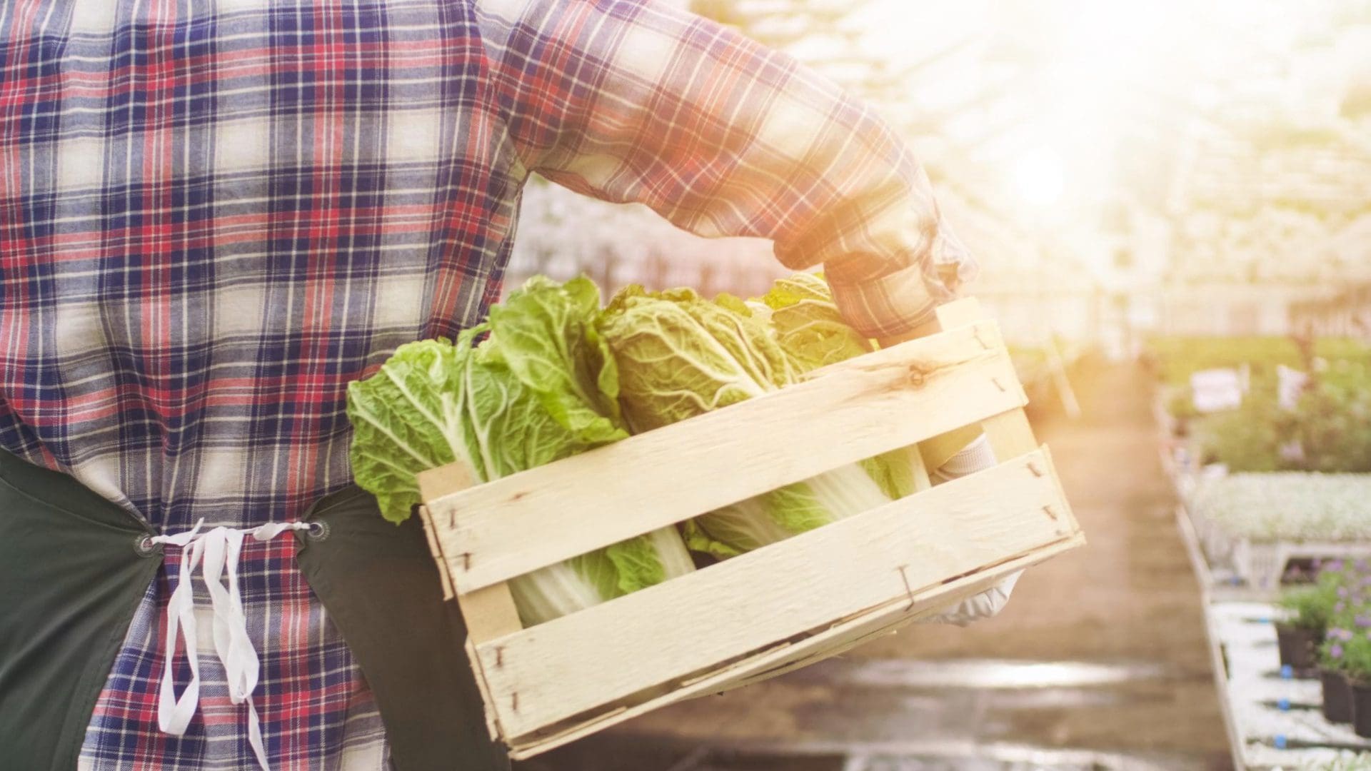 Produce Delivery Elite EXTRA