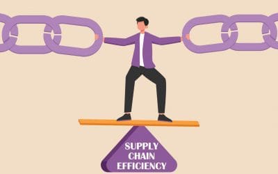 The Push for Supply Chain Efficiency: Collapsing Our Resources from the Inside Out