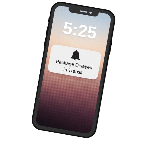 Package Delayed in Transit - delay alert on mobile