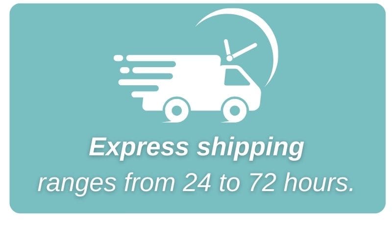 Statistic graphic - express shipping ranges from 24-72 hours